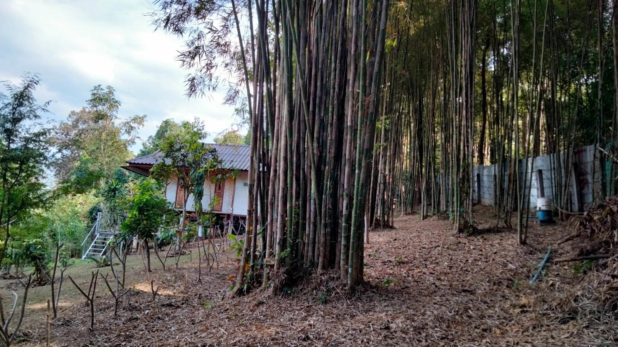 Homestay Ban Suan Nai Fun Pua